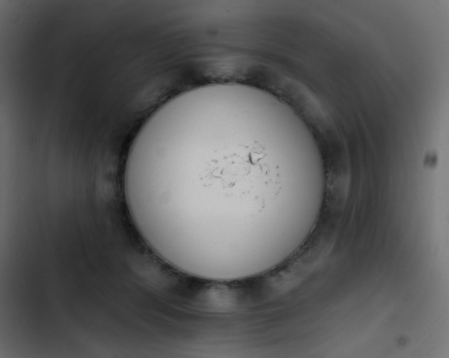 X0000103930416200809261707
