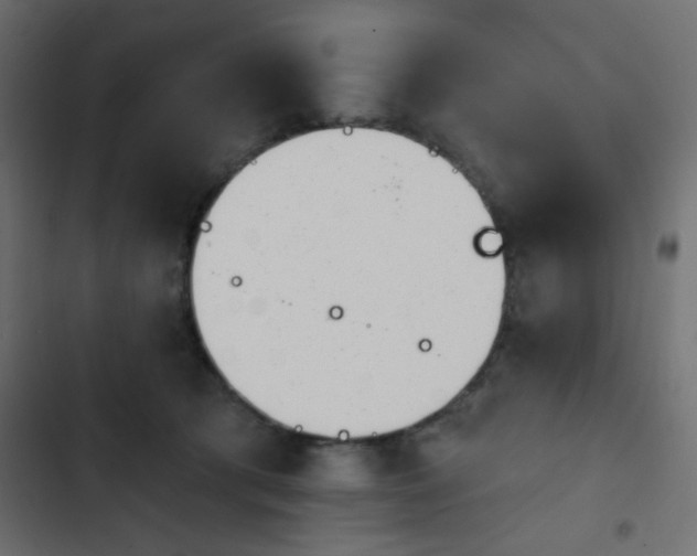 X0000103930417200809261707