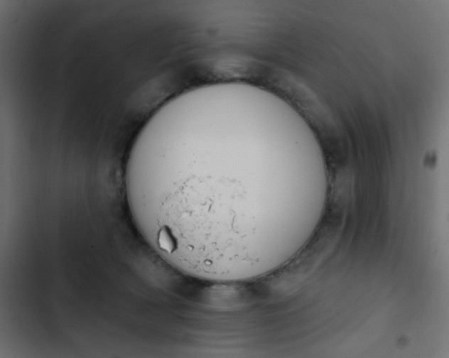X0000103930418200809261707