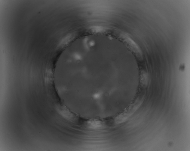 X0000103930419200809261707