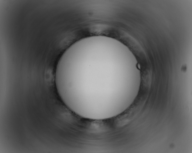 X0000103930420200809261707