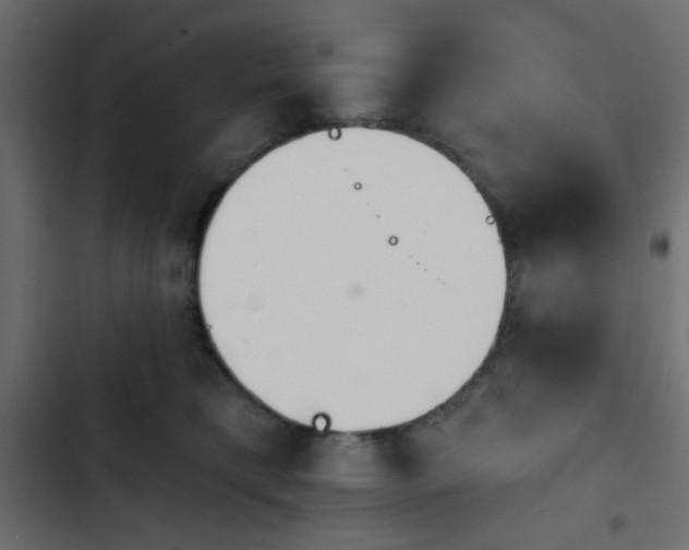 X0000103930421200809261707