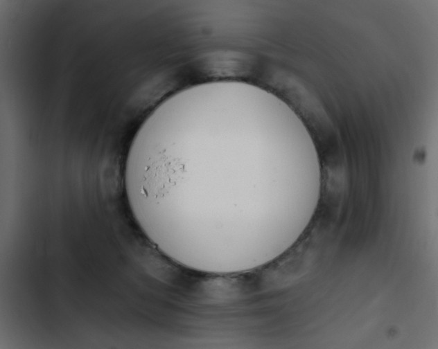 X0000103930422200809261707