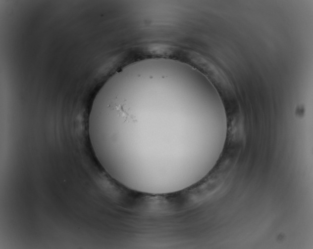 X0000103930424200809261707