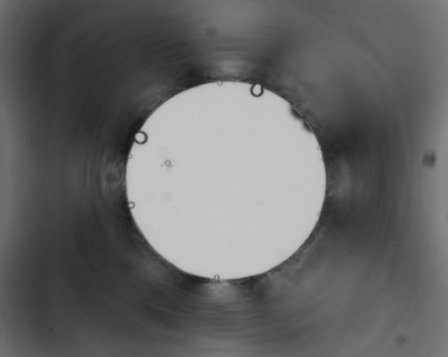 X0000103930425200809261707