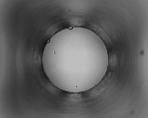 X0000103930426200809261707
