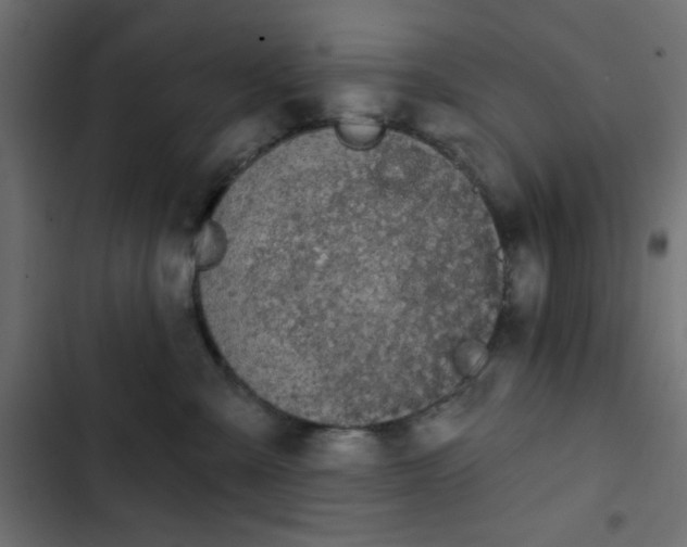 X0000103930427200809261707