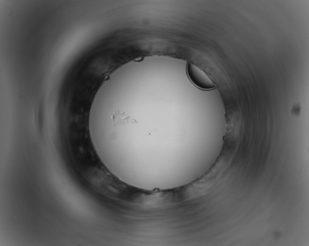 X0000103930430200809261707