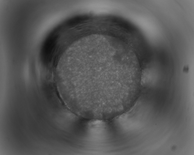 X0000103930431200809261707