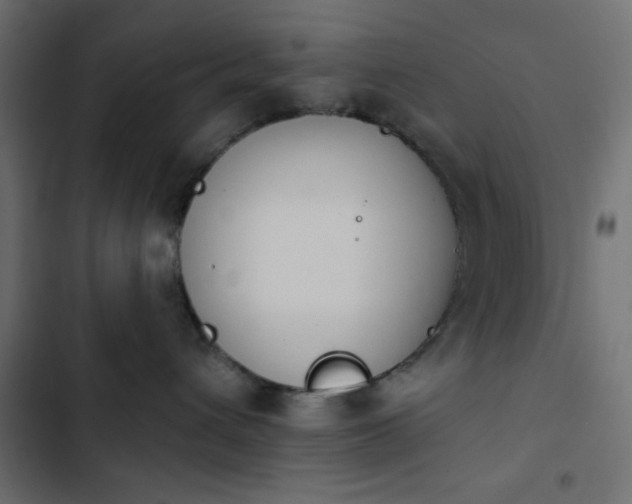 X0000103930432200809261707