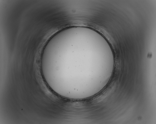 X0000103930433200809261707