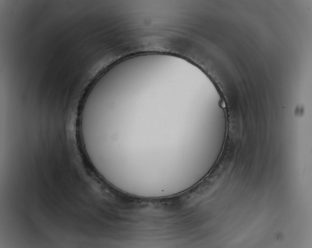 X0000103930434200809261707