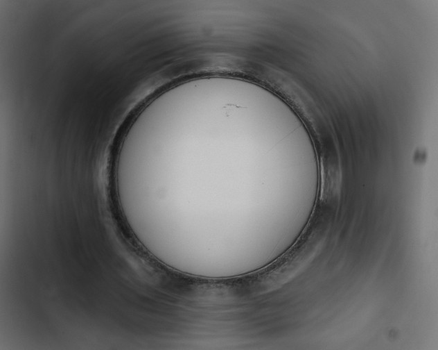 X0000103930435200809261707