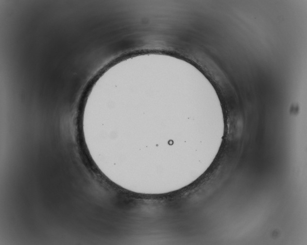 X0000103930436200809261707