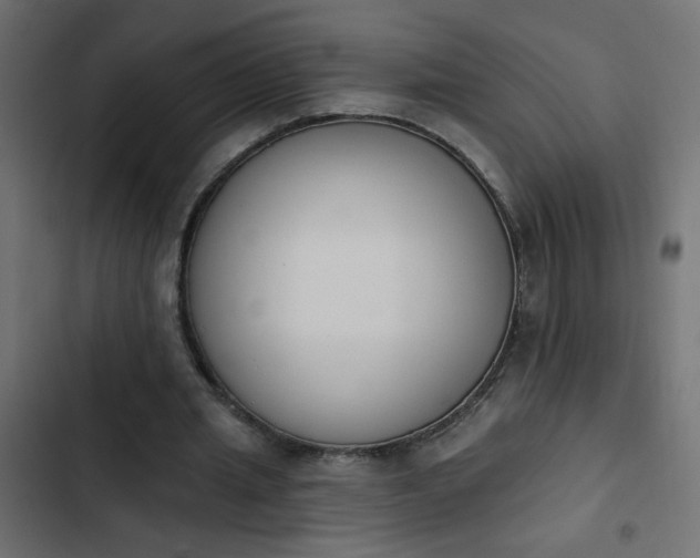 X0000103930437200809261707