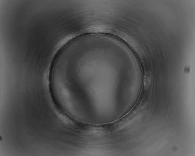 X0000103930438200809261707