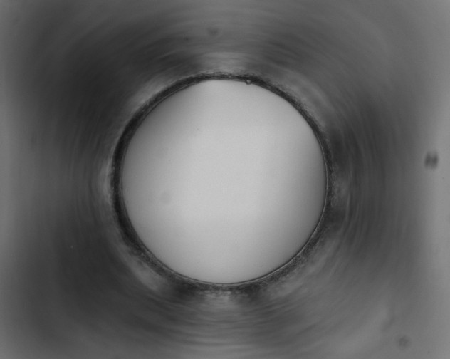 X0000103930439200809261707