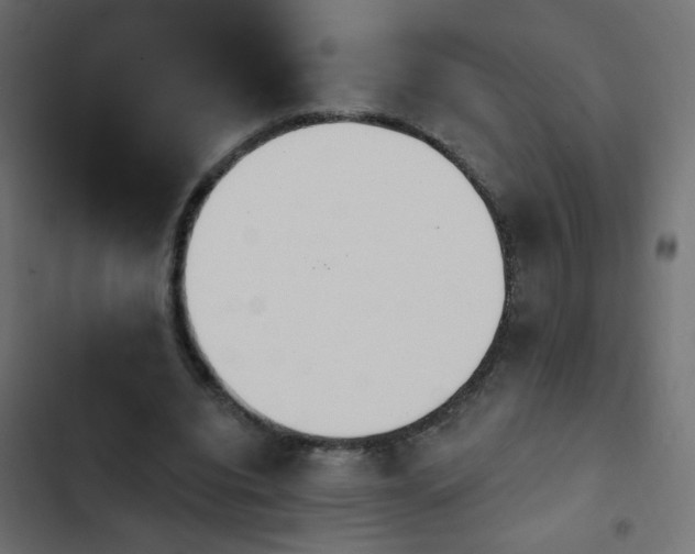 X0000103930440200809261707