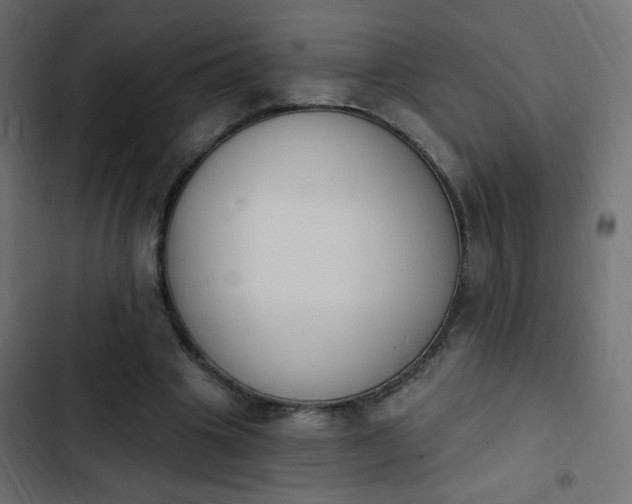 X0000103930441200809261707