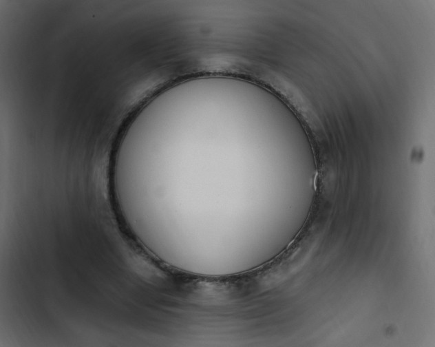 X0000103930442200809261707