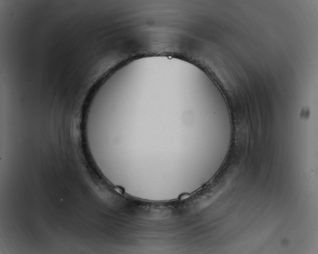 X0000103930443200809261707