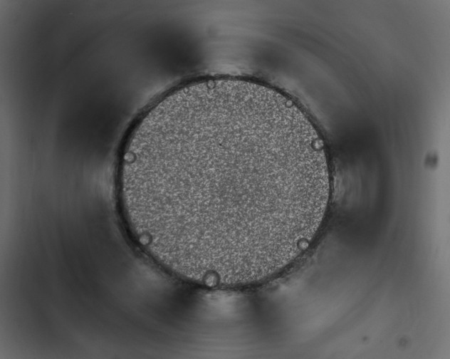 X0000103930444200809261707