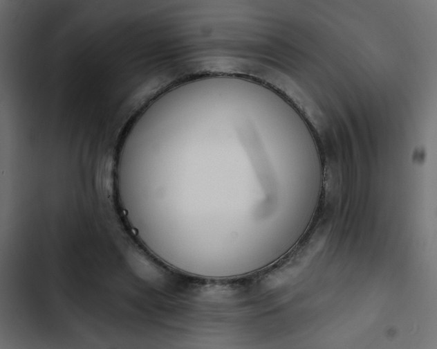 X0000103930445200809261707