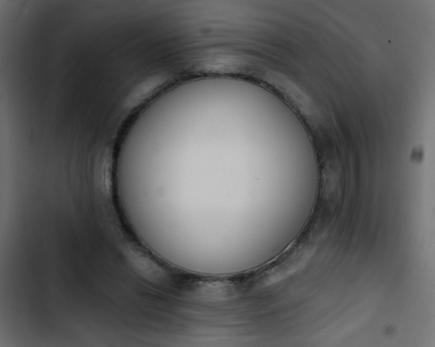 X0000103930446200809261707