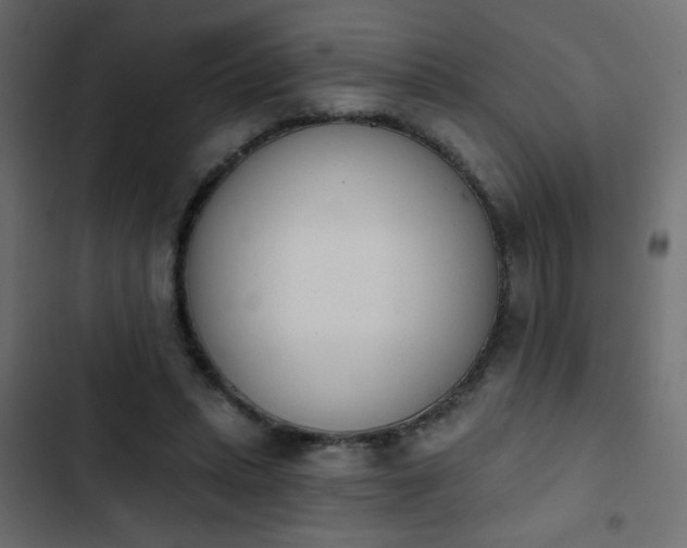 X0000103930447200809261707
