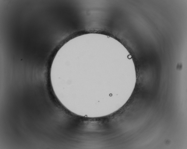 X0000103930448200809261707