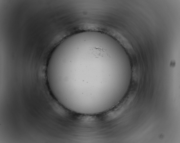 X0000103930449200809261707