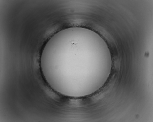 X0000103930450200809261707
