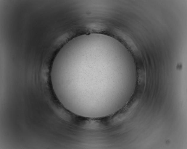 X0000103930451200809261707