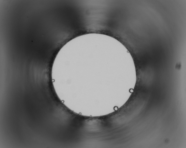 X0000103930452200809261707