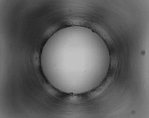 X0000103930453200809261707