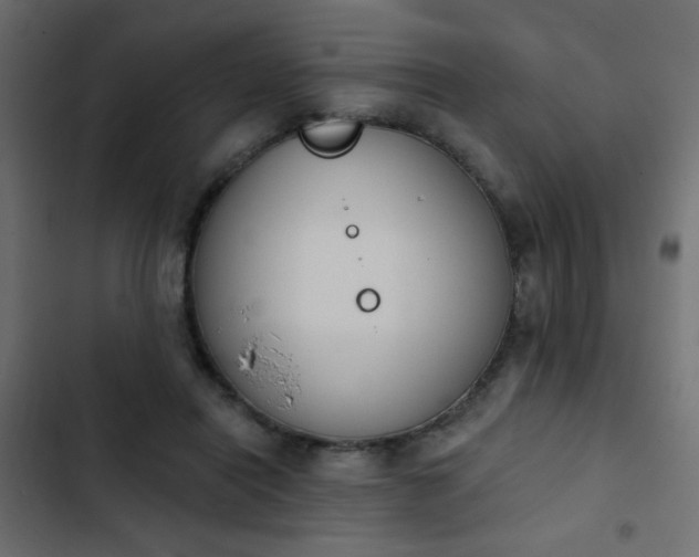 X0000103930454200809261707