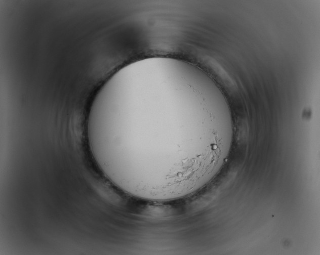 X0000103930455200809261707