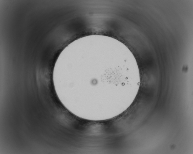 X0000103930456200809261707