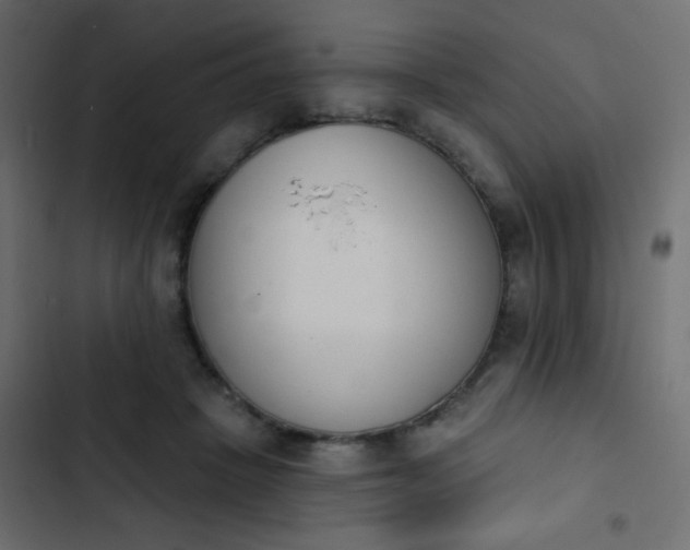 X0000103930457200809261707