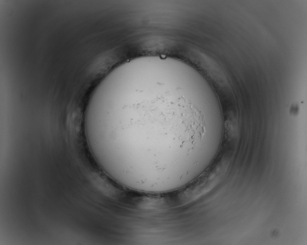 X0000103930458200809261707