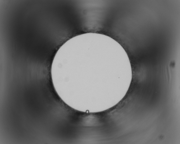 X0000103930460200809261707