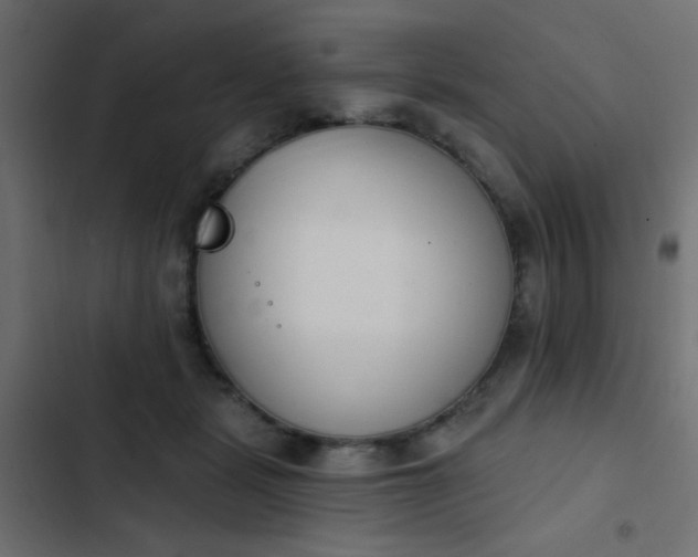 X0000103930461200809261707