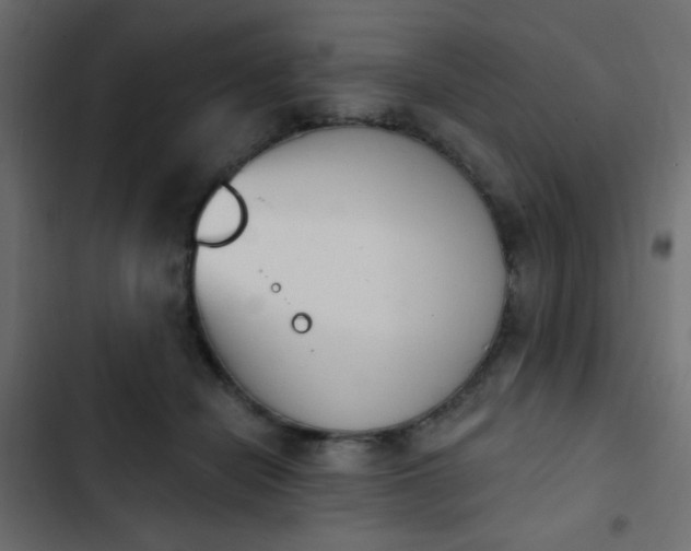 X0000103930462200809261707