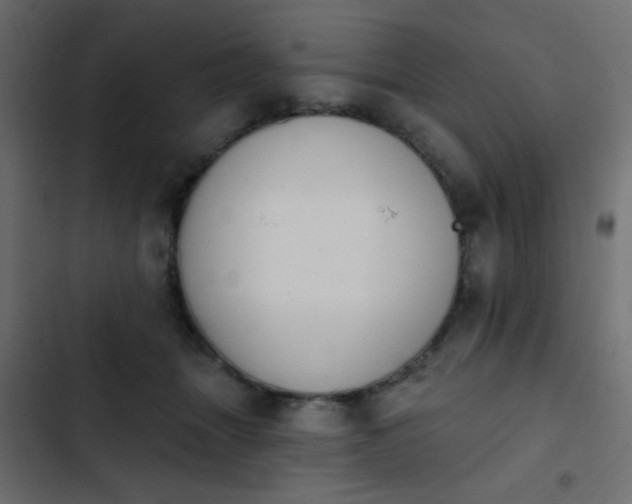 X0000103930463200809261707