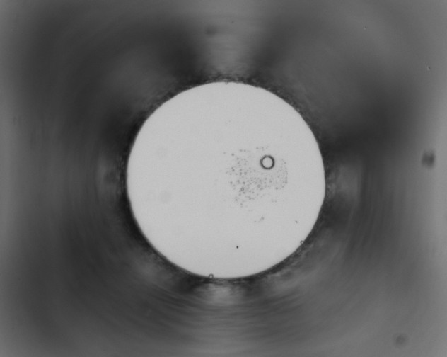 X0000103930464200809261707