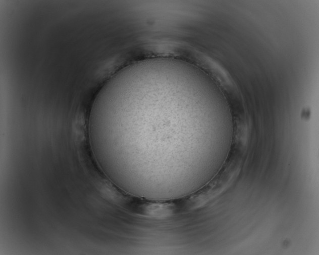 X0000103930465200809261707