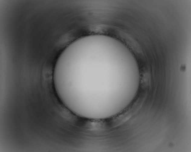 X0000103930466200809261707