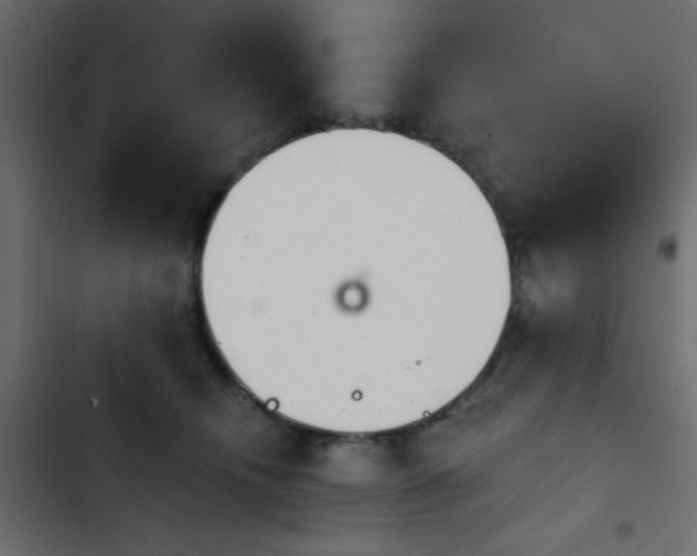 X0000103930468200809261707