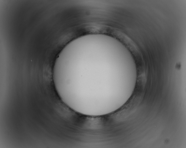 X0000103930469200809261707