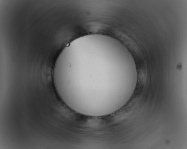 X0000103930470200809261707